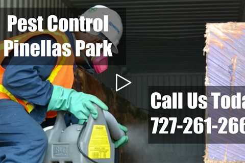 Pest Control Pinellas Park Florida - 24 Hr Residential Exterminators Bed Bug & Termite Treatment