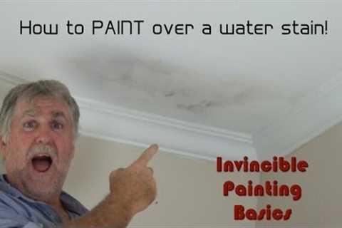 How to successfully paint over water damage; One step process and it''s easy as!