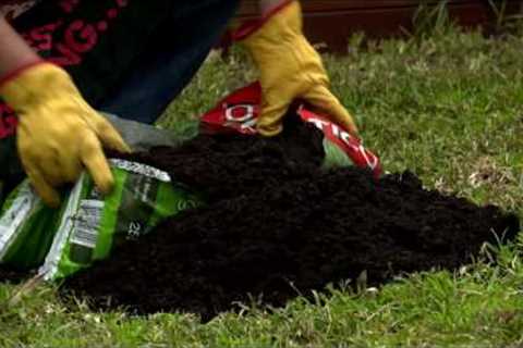 How To Top Dress & Aerate Your Lawn - D.I.Y. At Bunnings