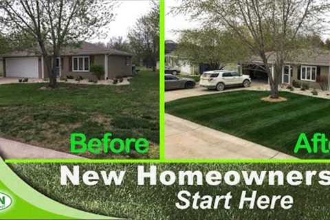 How-to Fix Your Ugly Lawn With This Single Lawn Application