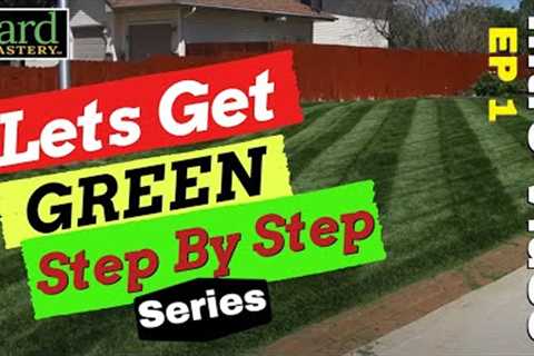 New Step By Step Lawn Care Series | Lets Get Green EP 1 #lawncare #greenlawn #fertilizer