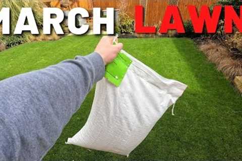 March Lawn Care Tips - Time for Grass Seed?