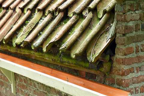 The Value of Staining Your Wood Gutters