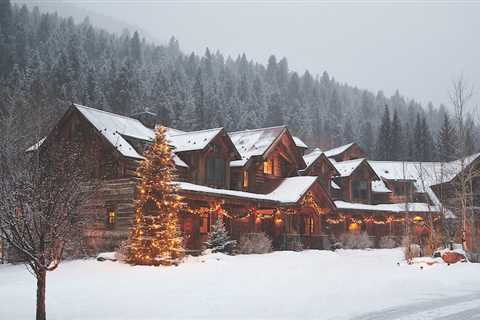 Evergreen Enchantment In A Colorado Landscape