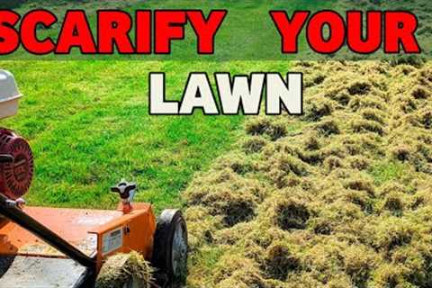 The complete beginners guide to lawn scarification