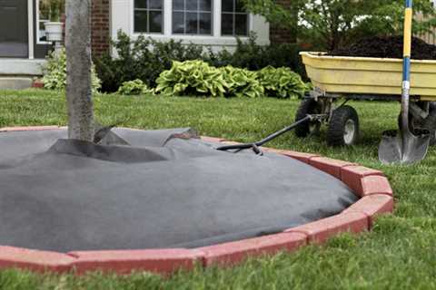 Lawn care - Pembroke Pines, FL - EPS Landscaping & Tree Service LLC