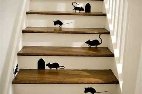 Staircase Painting - Gives Your Stairs a Fresh Look