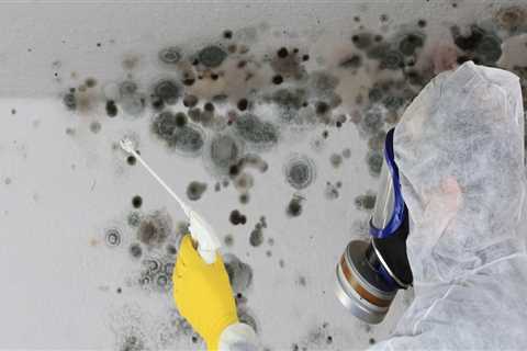 The Advantages Of Hiring A Restoration Company For Mold Inspection In Your Florida Home