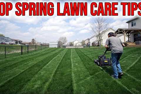 Top 7 EARLY SPRING Lawn Care Tips 2023