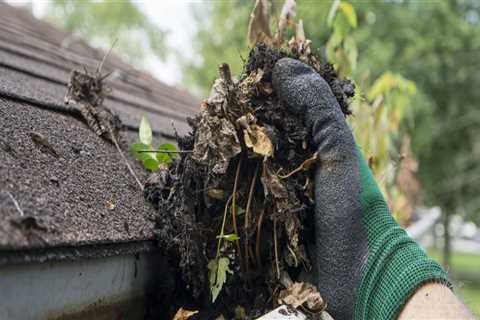 When should gutters be cleaned in texas?