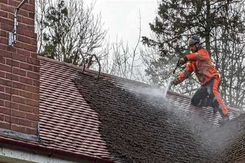 Should you clean the roof of your house?