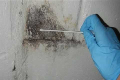 Who pays for mold inspection?