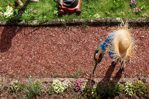 Basic Tools for Home  Backyard Cleanup