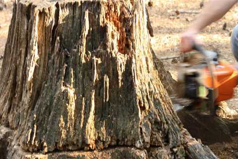 What is the fastest way to remove a tree stump?