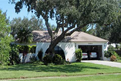 Why Do You Need a Gutter Cleaning after Tree Removal?