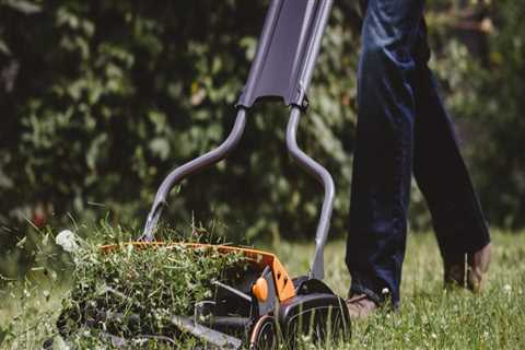 Why should you maintain your lawn?