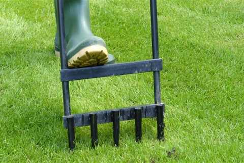 What happens if you aerate your lawn too much?