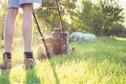 What does lawn care consist of?