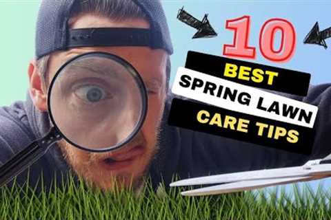 TOP 10 DIY Spring Lawn Care Tips! | DON''T Make THESE Mistakes