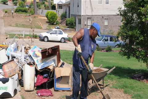 The Benefits and drawbacks of DIY Yard Debris Removal