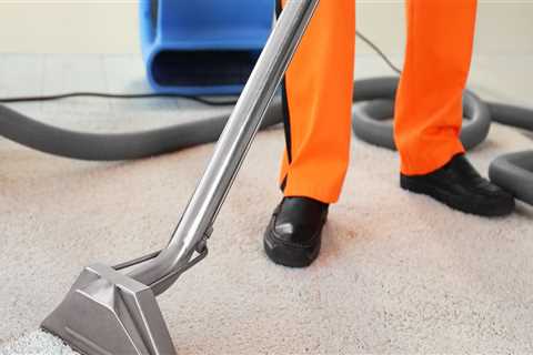 The Best Carpet Cleaning Techniques Explained: A Comprehensive Guide