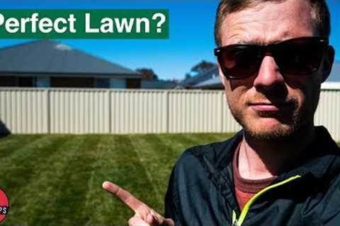 10 Tips To Having A Perfect Lawn