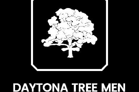 Tree Service Edgewater - Daytona Tree Men