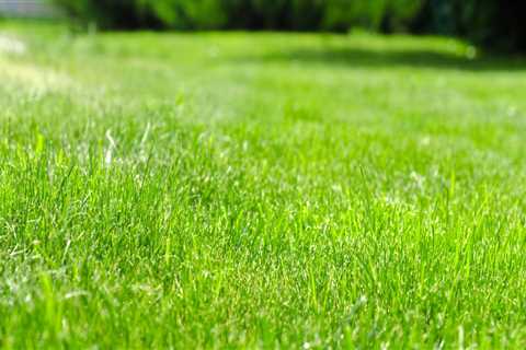 What month is the best time to fertilize your grass?
