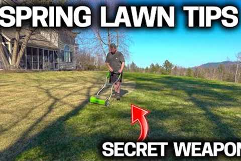 Simple Lawn Tips for a GREAT LAWN this SPRING