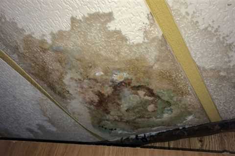 Protecting Yourself From Pink Mold Exposure