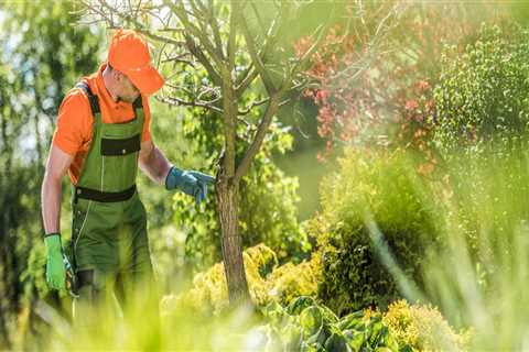 Deep Root Fertilization Services in Wellston, Ohio