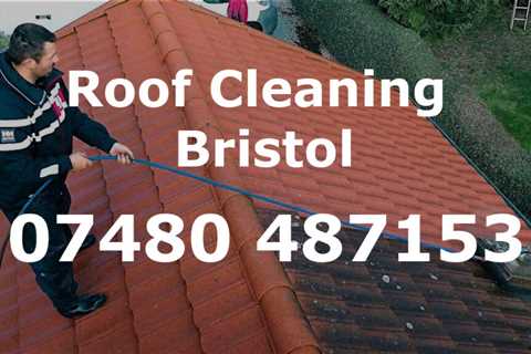 Roof Leak Detection Bounds Green