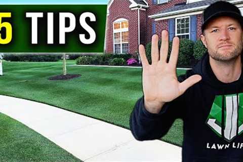 5 UNIQUE Tips - Lawn Care Tips for Beginners