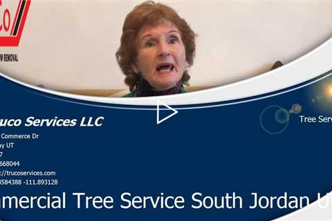 Emergency Tree Services South Jordan Utah