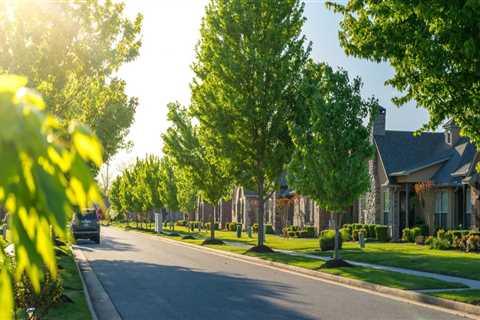 Maximizing Benefits of Planting Trees in Areas with Human Activity