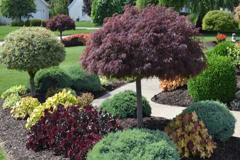 Creating an Aesthetically Pleasing Landscape Design that Meets Regulations