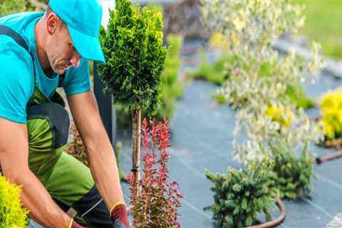 Categorizing Landscaping Expenses: A Guide for Landscapers