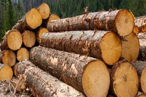 What is Logging and How Does it Work?