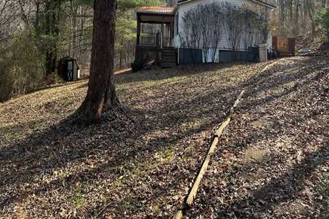 Exploring Forest Inventory and Mapping Services in Wellston, Ohio