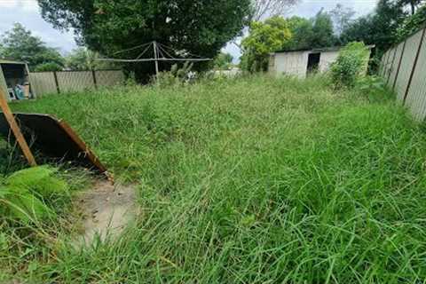 Massive OVERGROWN Jungle Backyard Has Not Been MOWED In 10 Years