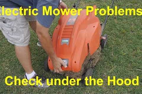 Electric Lawn Mower motor problems