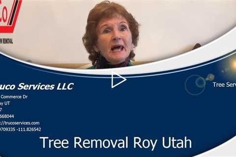 Municipal Tree Service Sandy Utah