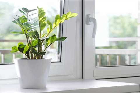 How to Know When it’s Time to Replace Your Home Windows