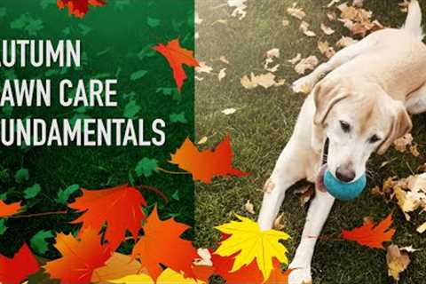 Autumn Lawn Care Series Ep 1 | Autumn Lawn Care Fundamentals