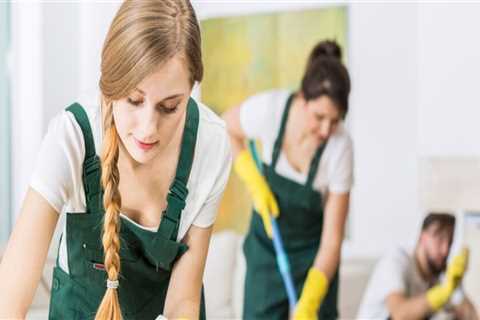 The Best Maid Services In Florida For Recurring Cleaning And Maintenance