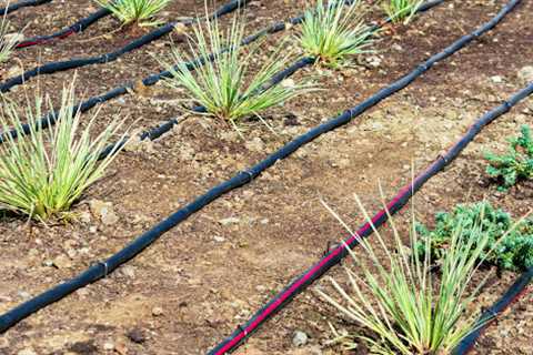 Arizona Irrigation Repair Phoenix Drip & Sprinkler System Repair Phoenix, AZ