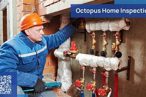 Standard post published to Octopus Home Inspections, LLC at May 26, 2023 20:00