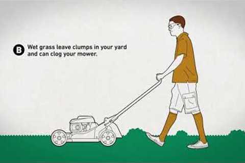 The Scotts Way: How to Mow Your Lawn Like a Pro