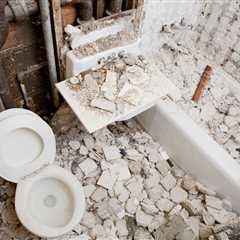 The Science of Surviving Bathroom Renovation