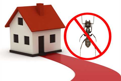 Protect Your Waterloo Home Against Carpenter Ants This Spring